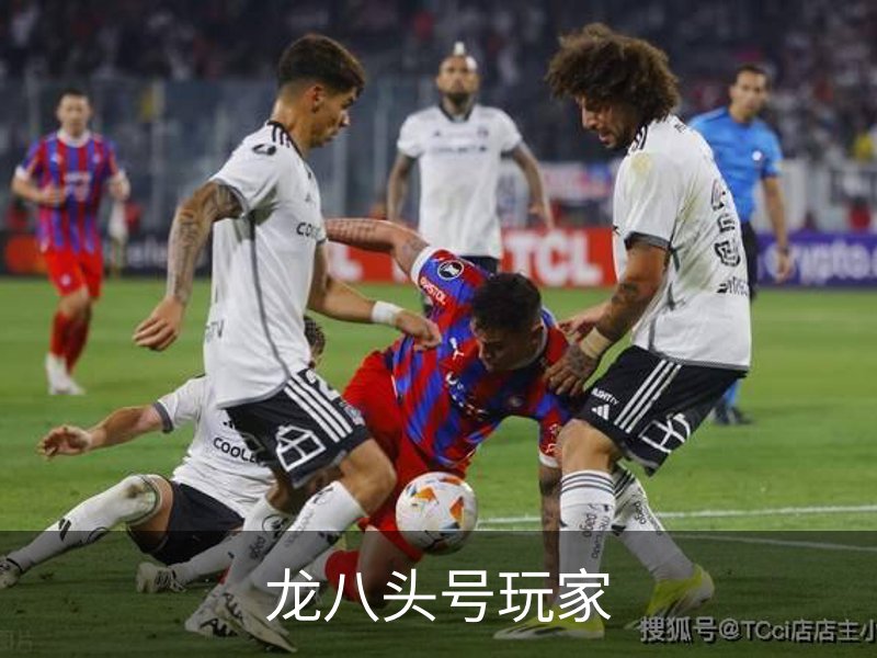 龙八头号玩家介绍